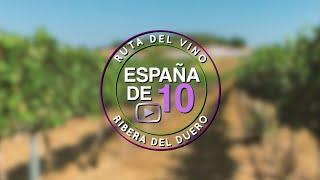 Ruta del vino Ribera del Duero: 10 básicos