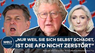 AFD-KRISE: Politik-Experte Werner Patzelt über die Folgen des Zerwürfnis mit RN-Chefin Marine Le Pen