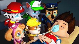 Paw Patrol Ultimate Rescue || RYEDR FUNERAL! - Ryder please don't leave | Rainbow