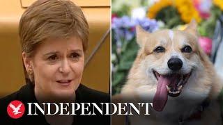 Nicola Sturgeon shares funny story about Queen’s corgi misbehaving