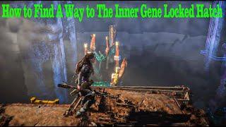 How to Find A Way to The Inner Gene Locked Hatch - Horizon Forbidden West