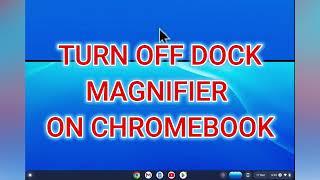 HOW TO TURN OFF DOCK MAGNIFIER ON CHROMEBOOK 2024