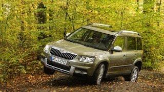 F.A.Z.-Fahrbericht Skoda Yeti: Der marschiert, auch wenn der Boden tief ist