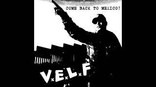 Violencia En La Frontera - Come Back To Mexico [2022 Powerviolence]