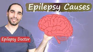 What causes Epilepsy and Seizures? Depends on the age