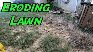 Repairing an UGLY Lawn | Small Lawn Renovation | Battling Soil Erosion