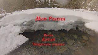 Моя Россия  -  Алтай. Чендекское ущелье. Весна