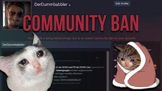 Mein Steam Main Account hat einen Community Ausschluss/Ban...