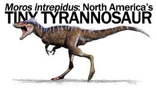 Moros intrepidus: North America's Tiny Tyrannosaur
