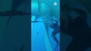 (NEAR DEATH EXPERIENCE) Man Nearly Dies Getting Close To Ship Propeller