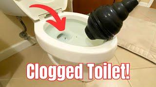 How to Unclog a Toilet with a Plunger