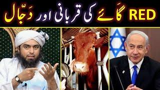  RED Heifers in Israel Vs Palestine ?  DAJJAL Vs ESA Maseeh علیہ السلام ?  Engineer Muhammad Ali