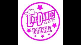 Mexico Lernvideo Teach & Dance Line Dance Biene Teil 2