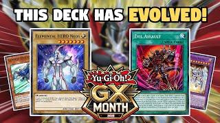 DER NEUE BUILD! HERO Deck Profil! + COMBOS! | Yu-Gi-Oh! GX Monat | März 2025