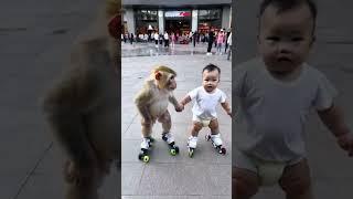 The little monkey had so much fun with the baby!  skatingrink cute baby little monkey cute pet deb