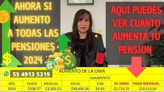 Ahora si, aumento a todas las pensiones! 2024