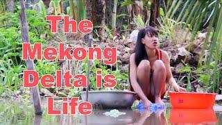 The Mekong Delta is Life - Can Tho, Vietnam