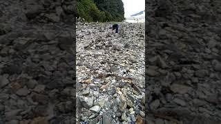 PILING ROCKS IN ICY STRAIT POINT ALASKA