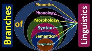 Branches of Linguistics; Phonetics; Phonology; Morphology; Syntax;Semantics;Pragmatics #linguistics