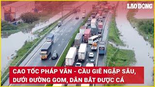 Cao tốc Pháp Vân - Cầu Giẽ ngập sâu, dưới đường gom, dân bắt được cá "khủng" | Báo Lao Động