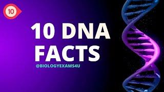 What is DNA? 10 Facts about DNA