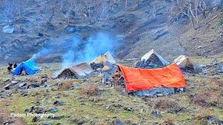 Himalayan Village Life | Dolpa | Nepal | Yarsagumba Hunter | Village Food | Best Compilation Video |