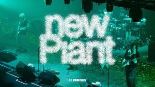 The Volunteers - New Plant / This is TVT Club