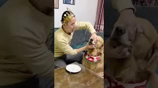 Si Mao just eats and turns off the lights while eating, his cute pet’s debut plan Douyin Animal Ill