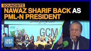 Nawaz Sharif Back As PML-N President | Dawn News English