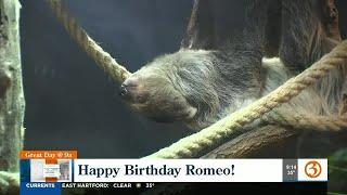 WEEKENDS AT THE SCIENCE CENTER: Happy Birthday Romeo!