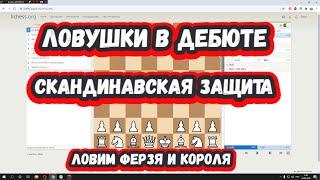 Шахматы на scregfm - Ловушки в дебюте: Скандинавская защита