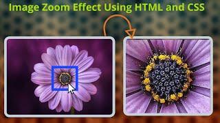 zoom image || mouse hover zoom effect using html and css || CSS || HTML || future exam