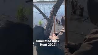 Here Comes the Simulated Duck Hunt