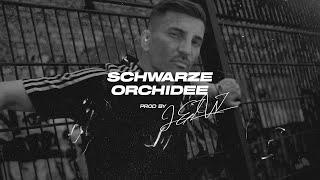 [FREE] "SCHWARZE ORCHIDEE" ASCHE EMOTIONAL STORYTELLER TYPE BEAT | Prod. By @Jezuz