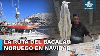 ¡Que no le den tiburón! Así llega el bacalao noruego a México