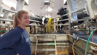 Small dairy farm tour in Saskatchewan