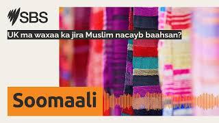 UK ma waxaa ka jira Muslim nacayb baahsan? | SBS Somali - SBS Afsomali