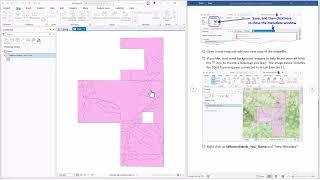 Data Types in ArcGIS Pro:  Lab Exercise 12