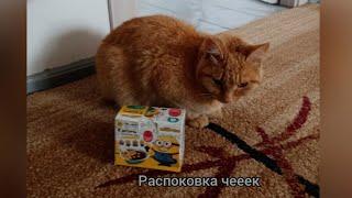 Распоковка 2 шоколадных яиц  София Кут and АСЯ CAT