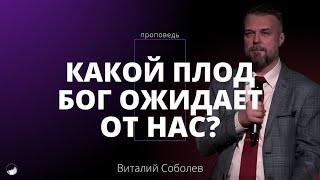 Проповедь «Какой плод Бог ожидает от нас?» | Виталий Соболев | 29.09.2024