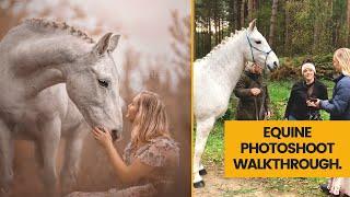 The Horse Photoshoot - A behind the scenes, through the lens view of an equine photography session