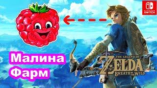 Фарм Малина (несколько локаций). The Legend of Zelda: Breath of the Wild. Wildberry Farming in Botw