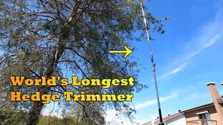 The Jobs are Not Always Easy | World's Longest Trimmer