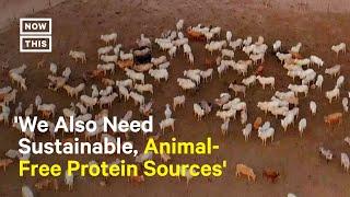 How Meat Production Contributes to Climate Change