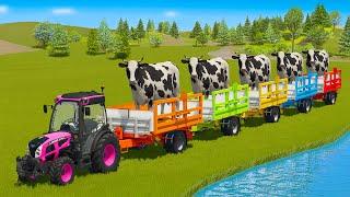 LOADING AND TRANSPORTING COWS WITH LANDINI MINI TRACTORS - Farming Simulator 25