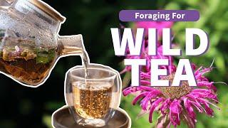 The Ultimate Guide to Foraging Wild Teas: 12 Plants to Try