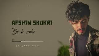 Afshin Shokri - bê te nabe ( lyrics )