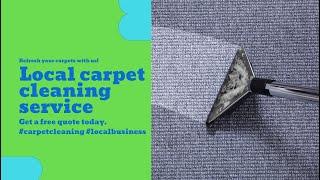 Top-Rated Carpet Cleaning in South Miami | 25+ Years of Excellence