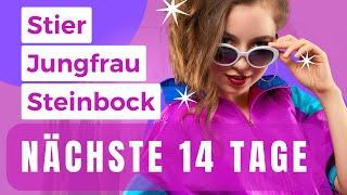 STIER, JUNGFRAU, STEINBOCK  TURTELTÄUBCHEN!  (nächste 14 Tage)  Tarot Orakel 