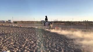 2022 TBEA April Dressage Show for Pearl and Katie Purdy - Training Level Test 3 -Class 8